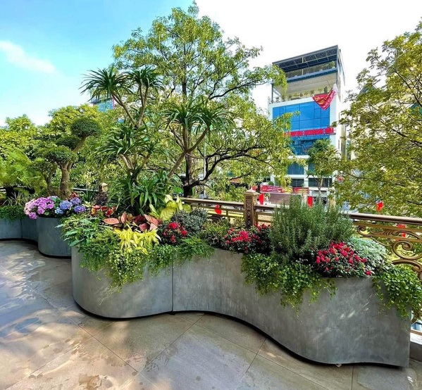 Chậu theo thiết kế, chậu cong